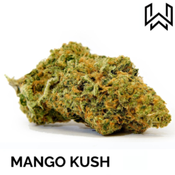 FLEUR CBD MANGO KUSH