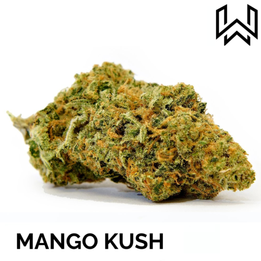 FLEUR CBD MANGO KUSH