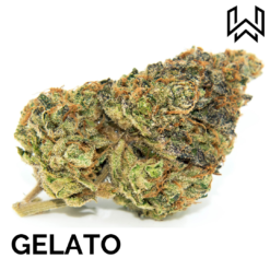 FLEUR CBD GELATO