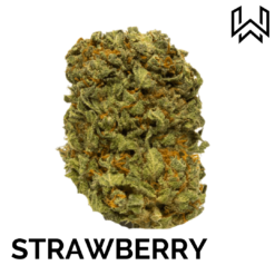 FLEUR CBD STRAWBERRY