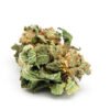 CBD pas cher