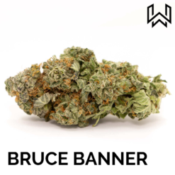 Bruce Banner CBD