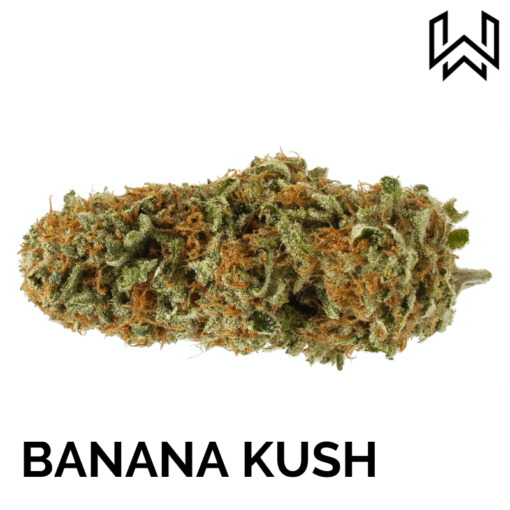 BANANA KUSH CBD