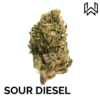 SOUR DIESEL CBD
