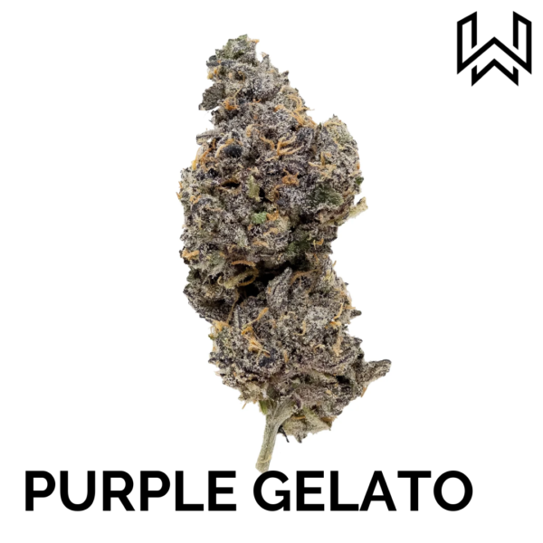 PURPLE GELATO