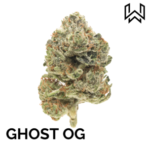 GHOST OG