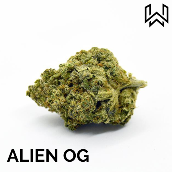 Alien OG