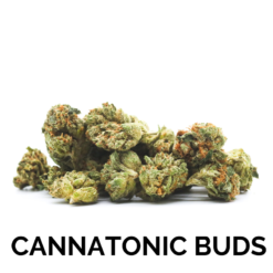 CANNATONIC BUDS