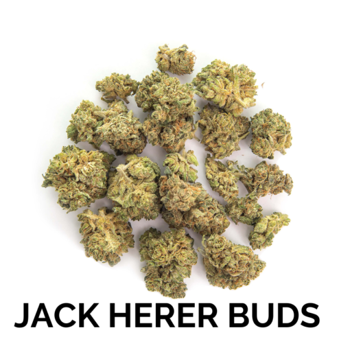 JACK HERER BUDS