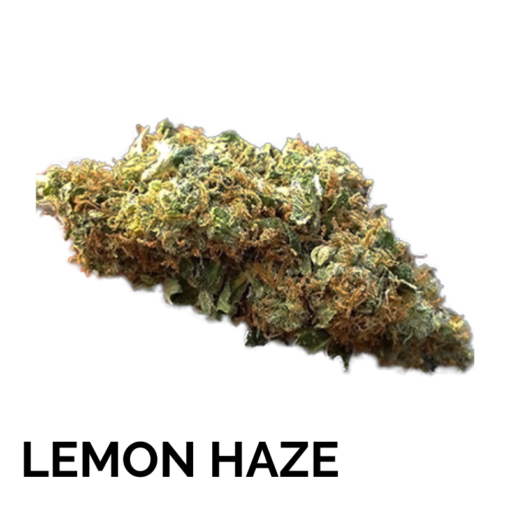 LEMON HAZE