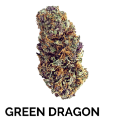 GREEN DRAGON