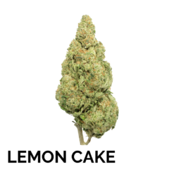 LEMON CAKE