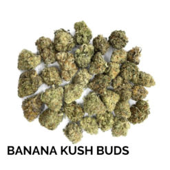 BANANA KUSH BUDS