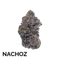 NACHOZ