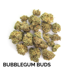 BUBBLEGUM BUDS