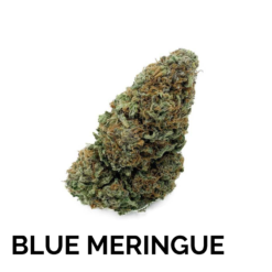 Blue Meringue CBD