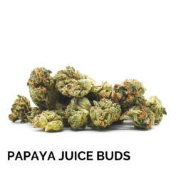 PAPAYA JUICE BUDS