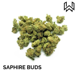 SAPHIRE BUDS