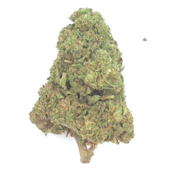 CANDY FUNK
