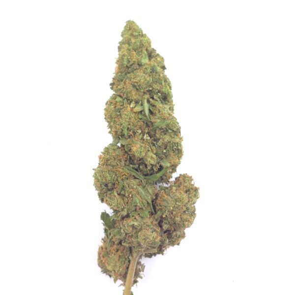 ORANGE COOKIES