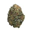 CRITICAL