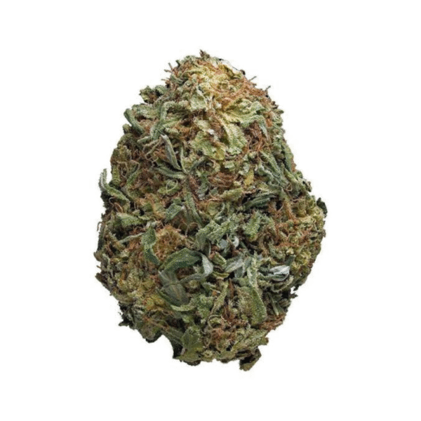 CRITICAL