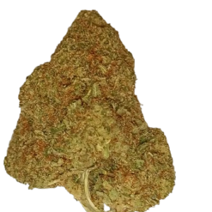 KING KONG NEW