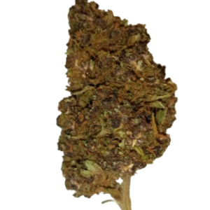 PURPLE PUNCH