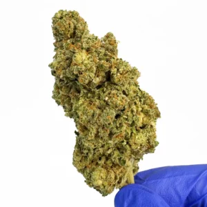 COOKIES OG