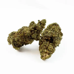GUAVA GELATO🥰​​