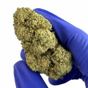 SUPER SKUNK